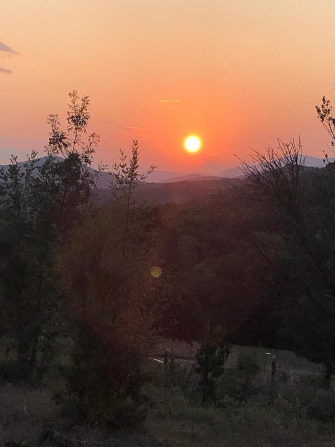 Domaine De Montbarri Bed and Breakfast La Tour-sur-Orb Εξωτερικό φωτογραφία