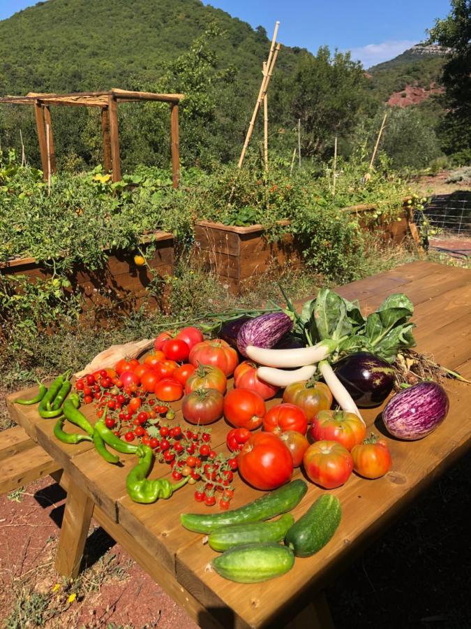 Domaine De Montbarri Bed and Breakfast La Tour-sur-Orb Εξωτερικό φωτογραφία